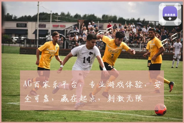 AG百家乐平台，专业游戏体验，安全可靠，赢在起点，刺激无限